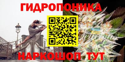 наркотики Лесосибирск