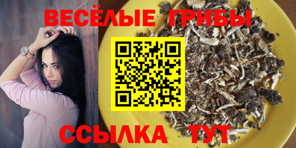 Псилоцибиновые грибы Psilocybine cubensis Верхний Уфалей